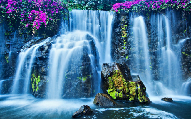 Обои картинки фото природа, водопады, водопад, цветы, камень