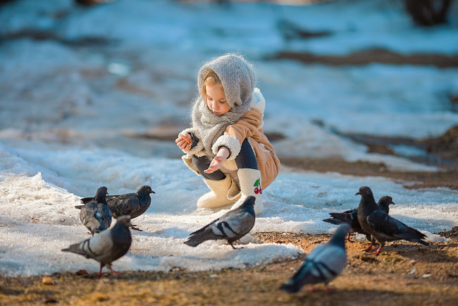 Обои картинки фото разное, дети, девочка, снег, голуби