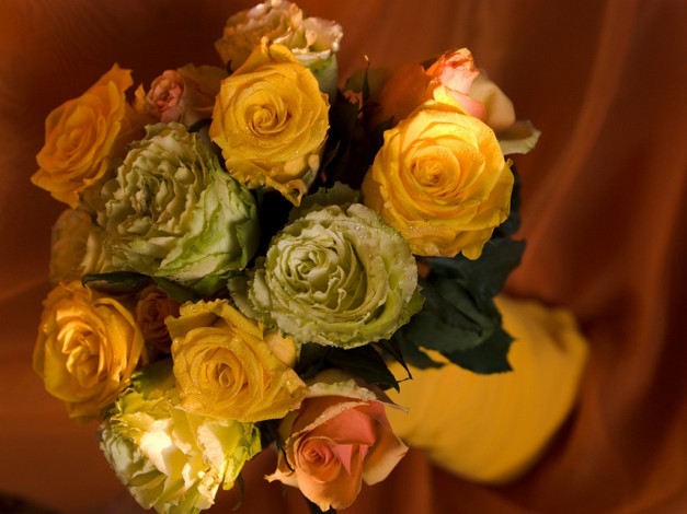 Обои картинки фото besenorita, весенний, цветы, розы