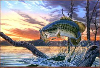 Картинка al agnew strike king рисованные рыба окунь река арт