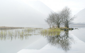 Картинка природа реки озера озеро утро деревья туман
