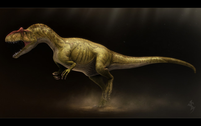 Обои картинки фото allosaurus, fragilis, рисованные, животные, доисторические, ящеры, динозавры, рисунок