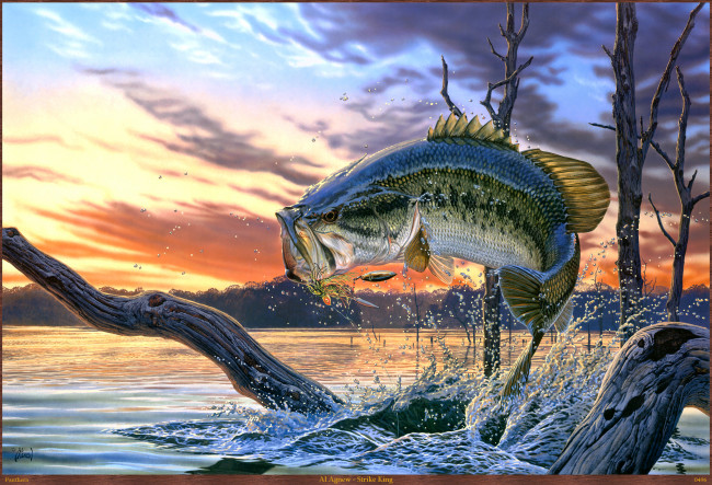 Обои картинки фото al, agnew, strike, king, рисованные, рыба, окунь, река, арт