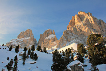 Картинка italian alps природа горы ели снег