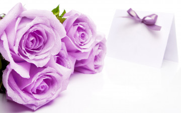 Картинка цветы розы бантик сиреневые открытка капли