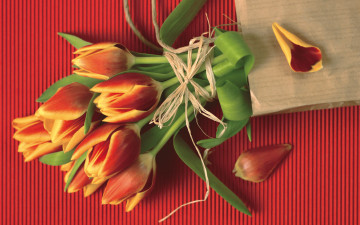 Картинка цветы тюльпаны букет
