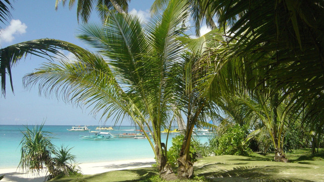 Обои картинки фото природа, тропики, лодки, море, пальмы