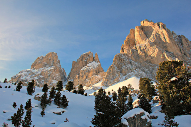 Обои картинки фото italian, alps, природа, горы, ели, снег