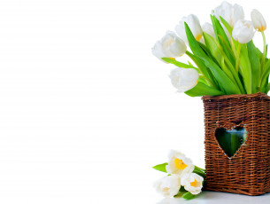 Картинка цветы тюльпаны букет белые корзина белый фон