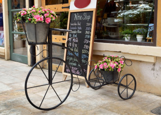 Картинка цветы рододендроны+ азалии вазон подставка велосипед розовые окно витрина город