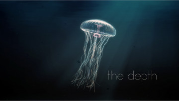 Картинка 3д+графика animals+ животные медуза вода