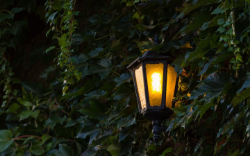Картинка разное осветительные+приборы листва тень свет фонарь