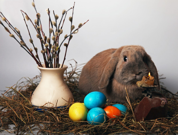 Обои картинки фото животные, кролики,  зайцы, кролик, пасха, яйцо, easter, свеча, верба, ваза