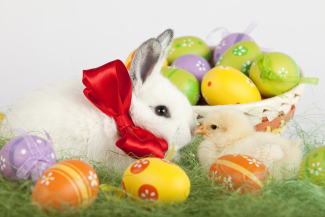 Обои картинки фото животные, разные вместе, травка, яйца, цыпленок, кролик, пасха, праздник