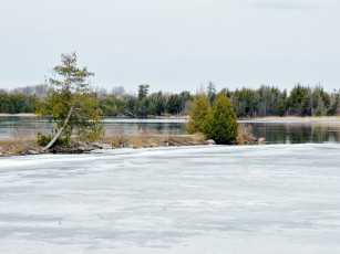 Картинка природа реки озера зима снег река