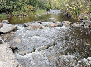 Картинка природа реки озера река вода камни пороги