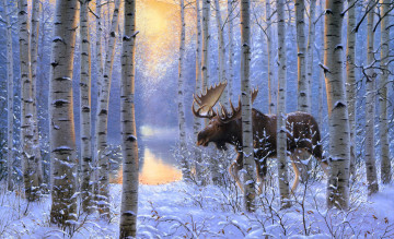 обоя рисованное, животные, берёзы, деревья, снег, зима, зверь, лес, лось