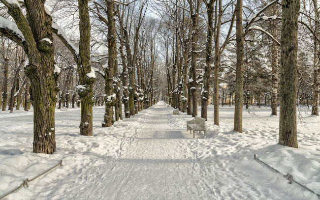 Обои картинки фото природа, зима, saint, petersburg, federal, city, russia, pushkinskiy