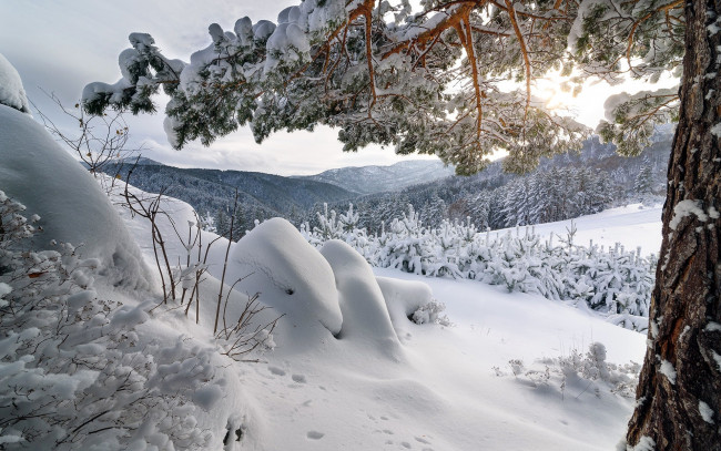 Обои картинки фото природа, горы, снег, зима, сугробы
