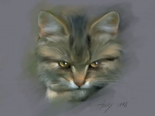 Картинка кот рисованные животные коты