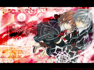 Картинка аниме vampire knight