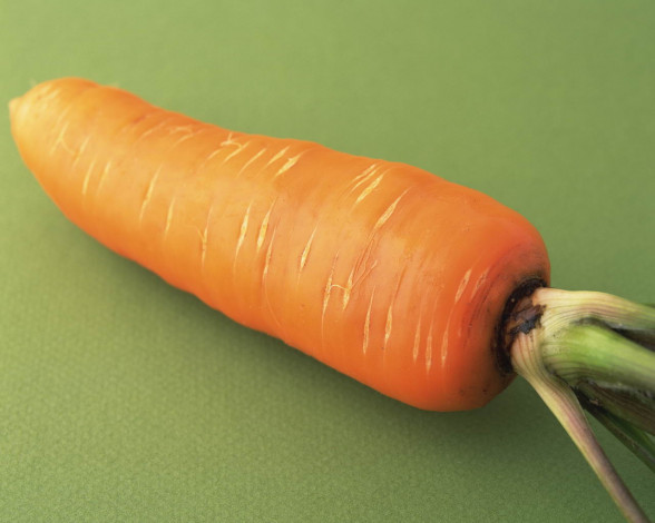 Обои картинки фото еда, морковь