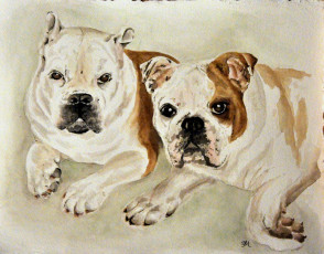 Картинка рисованные животные собаки бульдог