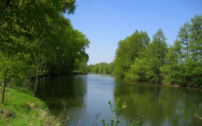 Обои картинки фото природа, реки, озера, лето, деревья, река