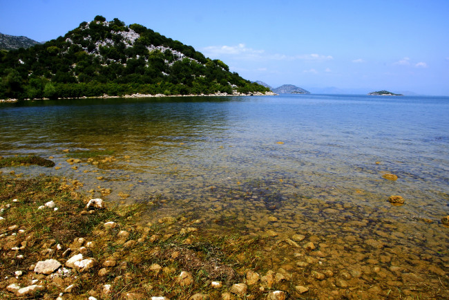 Обои картинки фото природа, побережье, skadarsko, jezero, Черногория