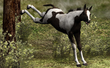 Картинка 3д графика animals животные лошадка