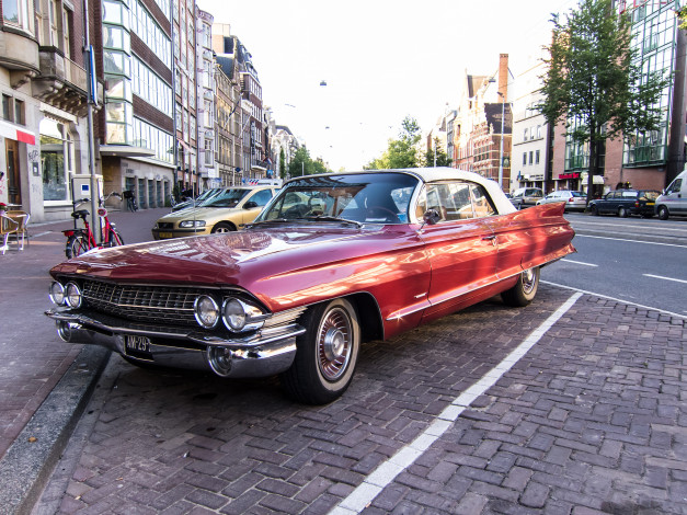 Обои картинки фото 1961 cadillac series 62 convertible, автомобили, выставки и уличные фото, выставка, автошоу, ретро, история