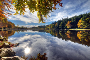 Картинка природа реки озера германия озеро отражение вода деревья камни берег deininger weiher осень ветки листья