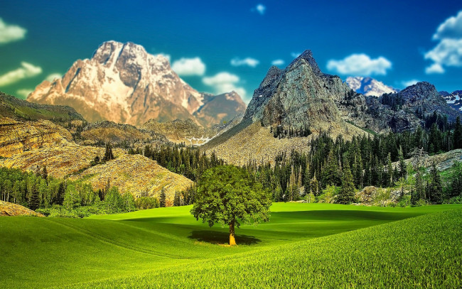 Обои картинки фото природа, горы, пейзаж, небо, долина, деревья, трава
