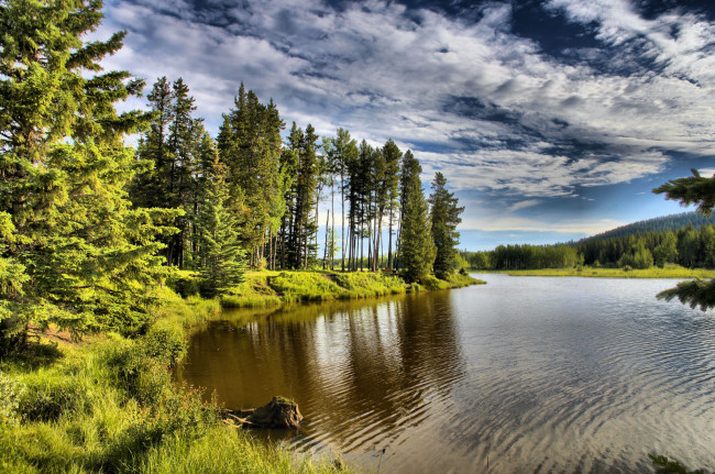 Обои картинки фото mclean creek, природа, реки, озера, облака, река, лес