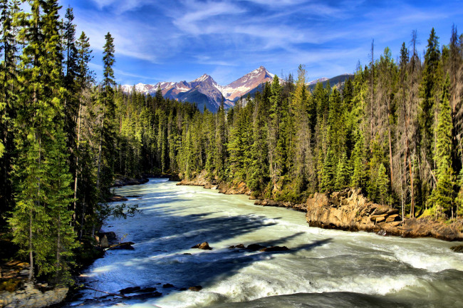 Обои картинки фото kicking horse river, природа, реки, озера, горы, река, лес
