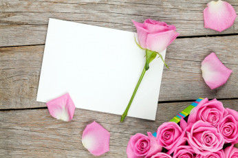 Картинка цветы розы лепестки розовый бутоны бумага