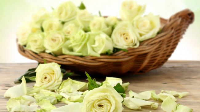 Обои картинки фото цветы, розы, лепестки, корзинка