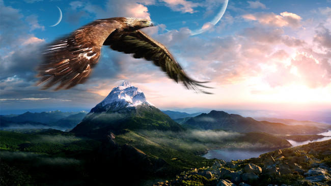 Обои картинки фото животные, птицы - хищники, орел, горы, полет, небо, фон