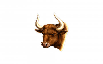 Картинка рисованное животные +коровы бык голова