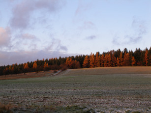 Картинка природа поля поле дорога лес осень