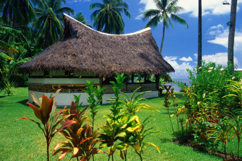 Картинка природа тропики пальмы цветы бунгало