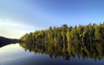 Картинка природа реки озера озеро лес деревья