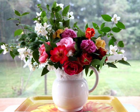 Обои картинки фото цветы, букеты, композиции, кувшин, жасмин, розы