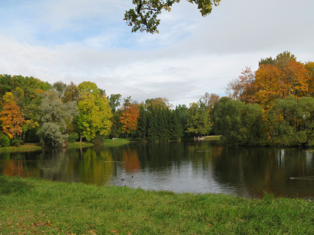 Обои картинки фото природа, парк, осень, вода, деревья