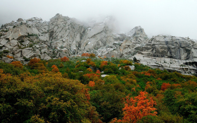 Обои картинки фото природа, горы, деревья, осень, туман