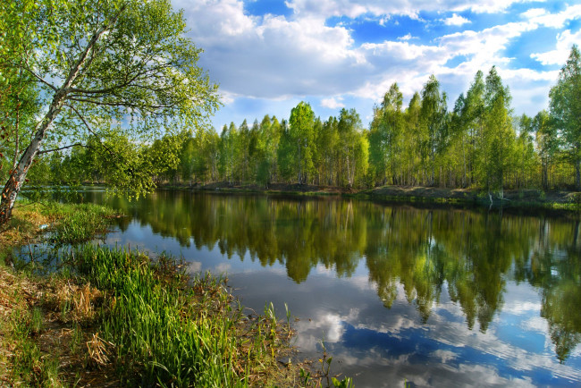 Обои картинки фото природа, реки, озера, река, деревья, пейзаж
