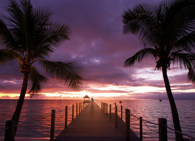 Обои картинки фото природа, тропики, пальмы, океан, море, любовь, закат