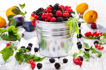 Картинка еда фрукты +ягоды ягоды ежевика малина красная смородина ведёрко