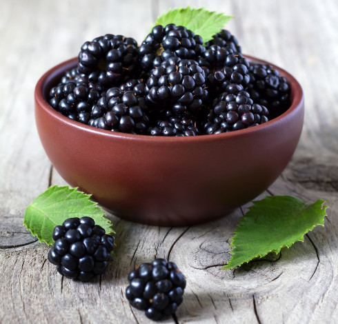 Обои картинки фото еда, ежевика, листики, ежевики, bowl, свежие, ягоды, leaves, blackberries, fresh, berries, миска