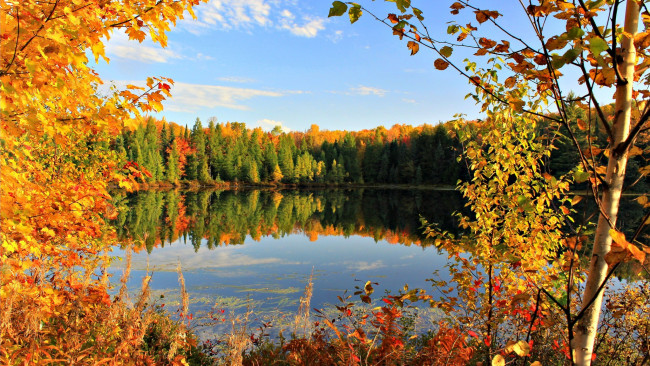 Обои картинки фото природа, реки, озера, деревья, озеро, golden, autumn, пруд, золотая, осень, небо, сентябрь, листья, облака